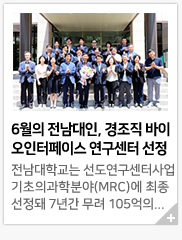 6���� ��������, ������ ���̿��������̽� �������� ����