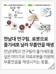 ������ ����������, �κ����� �ٱ⼼�� ���� �������� ���