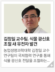 ������ ������, �Ĺ� ����ȣ���� �� ������ �߰�