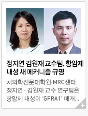 ������ ����� ������, �׾��� ���� �� ��Ŀ���� �Ը�