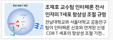 ����ȣ ����(�Ǵ�)�� ������� ���������� T���� �׻� ���� �Ը�