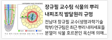 ����� ����(�������б���к�)�� �Ĺ��� �Ѹ� �������� �ߴ޿��� �Ը�