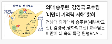 �Ǵ� ������. �迵�� ������ &lsquo;���� ���� ����&rsquo; ����