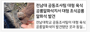전남대 공동조사팀 대형 육식공룡알화석지서 대형 초식공룡알화석 발견