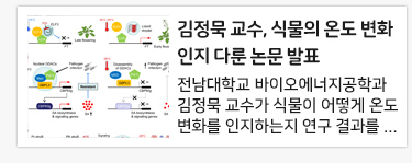 김정묵 교수(바이오에너지공학과), 식물의 온도 변화 인지 다룬 논문 발표