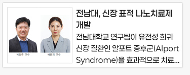 전남대, 신장 표적 나노치료제 개발