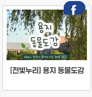  AI 3合 특강 1차 수강 후기 이벤트